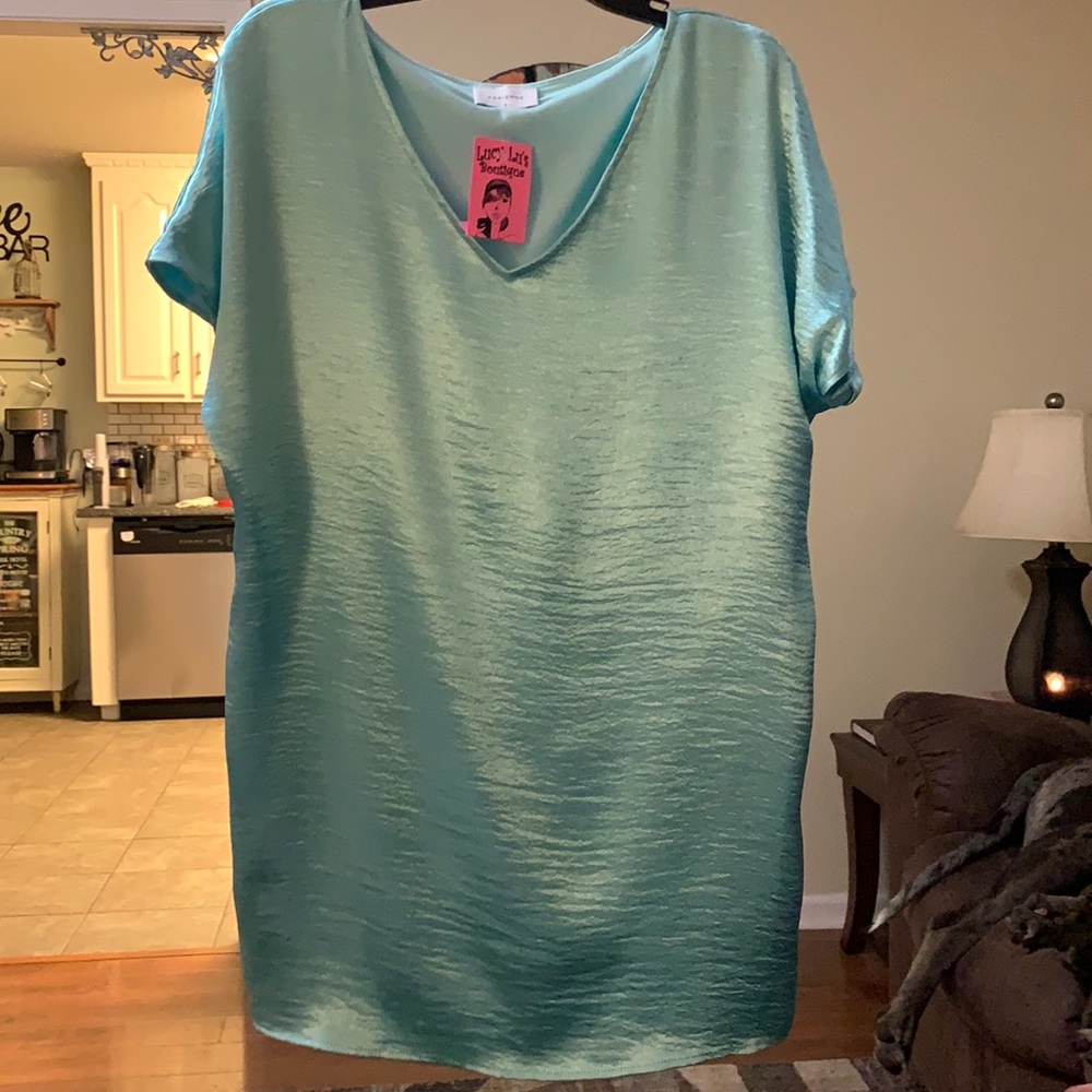 BNWT adrienne dress